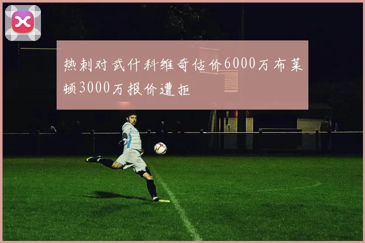 热刺对武什科维奇估价6000万布莱顿3000万报价遭拒