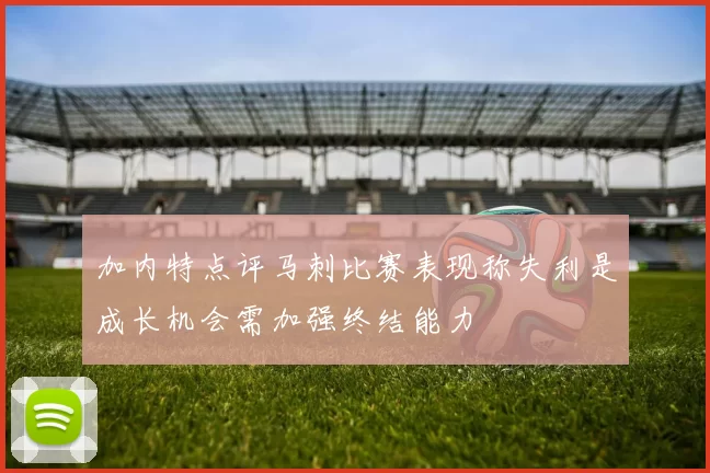 加内特点评马刺比赛表现称失利是成长机会需加强终结能力