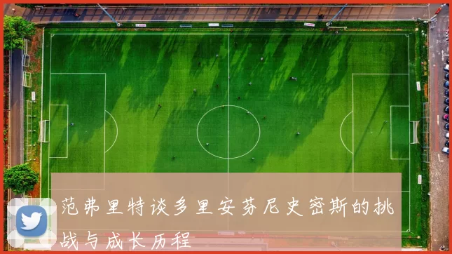 范弗里特谈多里安芬尼史密斯的挑战与成长历程
